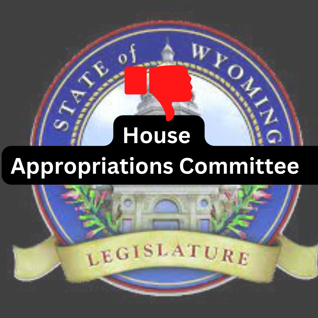 WY: House Committee Voted Twice Against Second Amendment Rights!