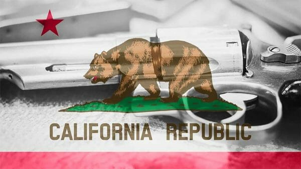 California Flag Guns Gun Control