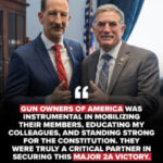Support this key Senate Committee in Protecting Pistol Braces!