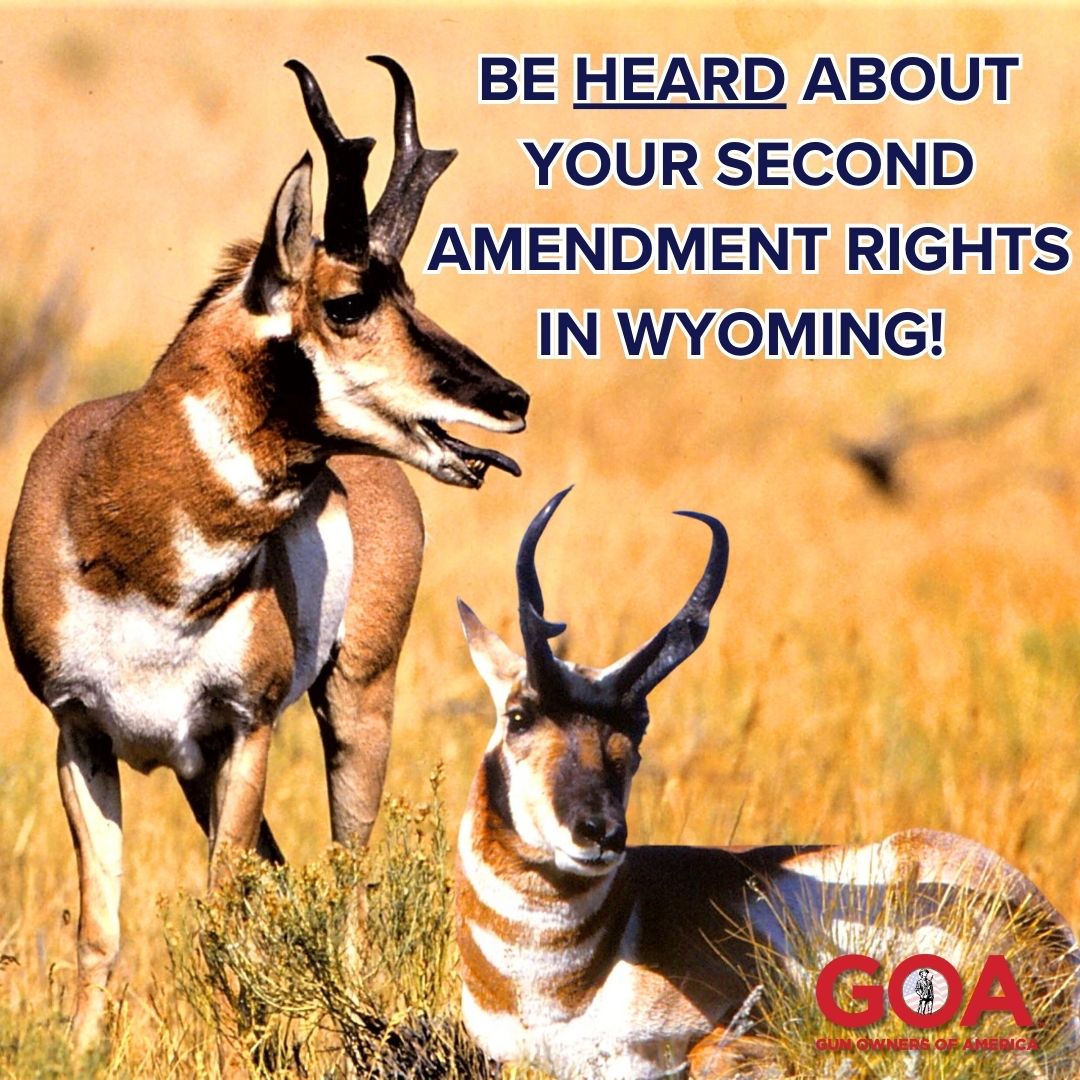 WY: Critical Time for Second Amendment Bills in the Wyoming Senate – Please Act