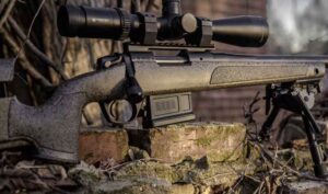 Top Affordable Precision Rifles — Bolt-Action Edition